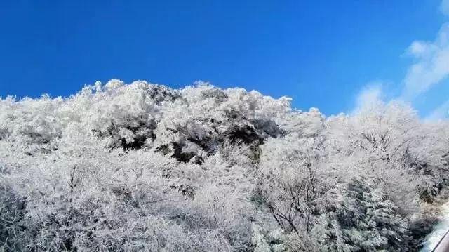 逃离整洁房屋