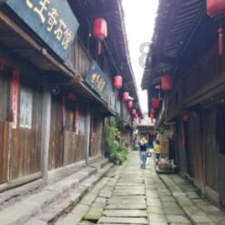 小狗救援行动选关版